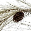 Creative Co-Op Faux Long Needle Pine Garland with Pinecones, Sage