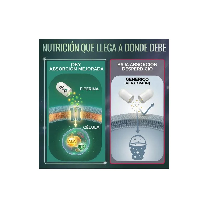 Acido Alfa Lipoico 600 mg con Curcuma, Piperina y Vitamina
