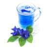 Blue Matcha Te Azul Butterfly Pea