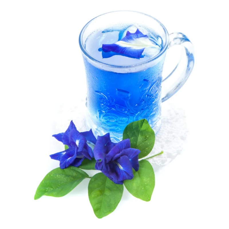 Blue Matcha Te Azul Butterfly Pea