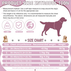 2Pcs Harness Set for Dogs, Mesh Pet Vest Set with leash for Walking Training Daily