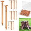 UNIFAMILY 15pcs Copper Nails for Killing Trees Stump Root, 3.15