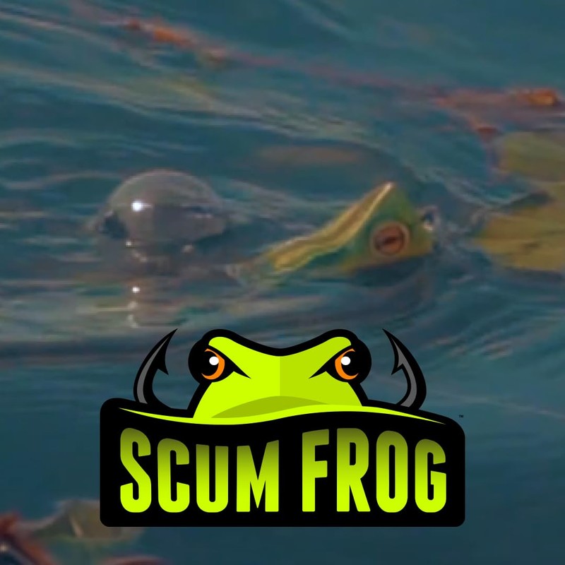 SCUM Frog Trophy Series Painted Popper | Tournament-Grade Weedless Topwater