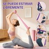 Bandas de Resistencia Set de 10 Piezas, Bolsa de Transporte,