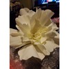 YOUNAFEN Large Flower Hats for Women Fascinator Hat Big Flower