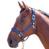 Shires Topaz Nylon Headcollar-Blue S Pony