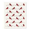 Abbott Collection 84-ASD-ABX-20 Cardinals Dish Cloths-Set of 2, Small, Ivory
