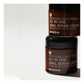 Mizon All In One Snail Repair Cream 120ml Crema Facial Todo Tipo De Piel Día/noche