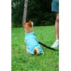 JACKO & CO - Fleece Vest Sweater with Leash Ring