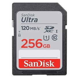 SanDisk SD Ultra Memory Card Works with Canon EOS M200, M100, M50, M5, M6 Mirrorless Camera (SDSDUNR-GN6IN) Bundle with (1) Everything But Stromboli Micro Fiber Cloth (Class 10 256GB)