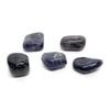 Energy In Harmony Iolite Medium Crystal Tumbled Stone - 1