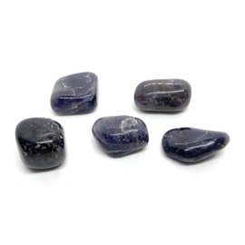 Energy In Harmony Iolite Medium Crystal Tumbled Stone - 1 Pc