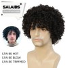 Salaibs Brown Curly Afro Wig for Men Short Fluffy Rocker