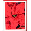 Sunshine Expressions Blooming Flowers – Red Poinsettias – High End