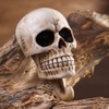 Arola Skull Wall Hooks Key Hooks Decorative Wall Mount Key