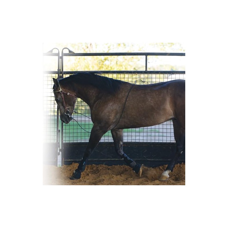 Professional's Choice Lunging Buddy