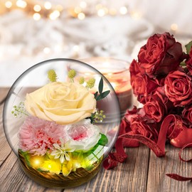 Ewige Rose im Glas, Ewige Rose Geschenke mit LED-Licht, Konservierte Echte Rosen Blume Infinity Rose Geburtstagsgeschenk für Frauen Valentinstag Jahrestag Muttertagsgeschenk für Mama (Gelb)