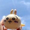 Lilic Chiwa, Suisui, Rabbit