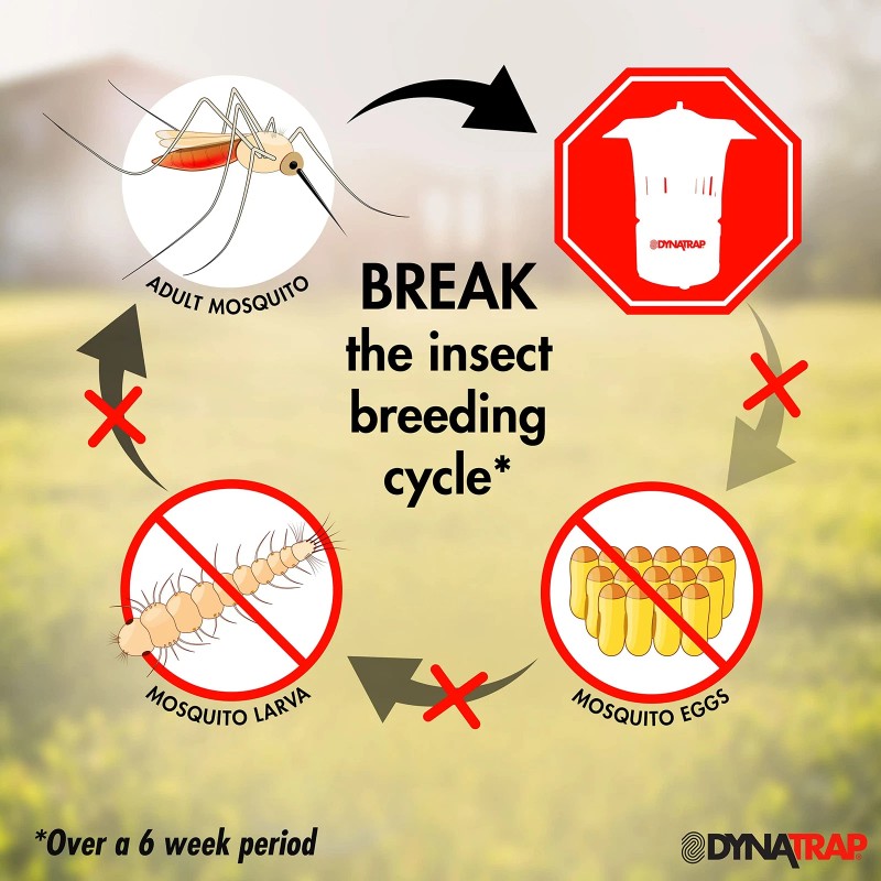 DynaTrap Outdoor Flying Insect Trap 1/2 acre DT1100