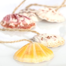 com-four® 3x hanging decoration made of wood with starfish, fish and anchor - decorative shells to hang up - maritime hanging decoration for the home (3 pieces - 35 x 5.5cm)
