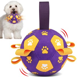 QDAN Interactive Dog Toys, Squeaky Moving Ball Toy with Remote Control, Music Modes Bouncing Ball for Dogs, Rechargeable Dog Toys to Keep Them Busy, Puppy Toys for Small Medium Large