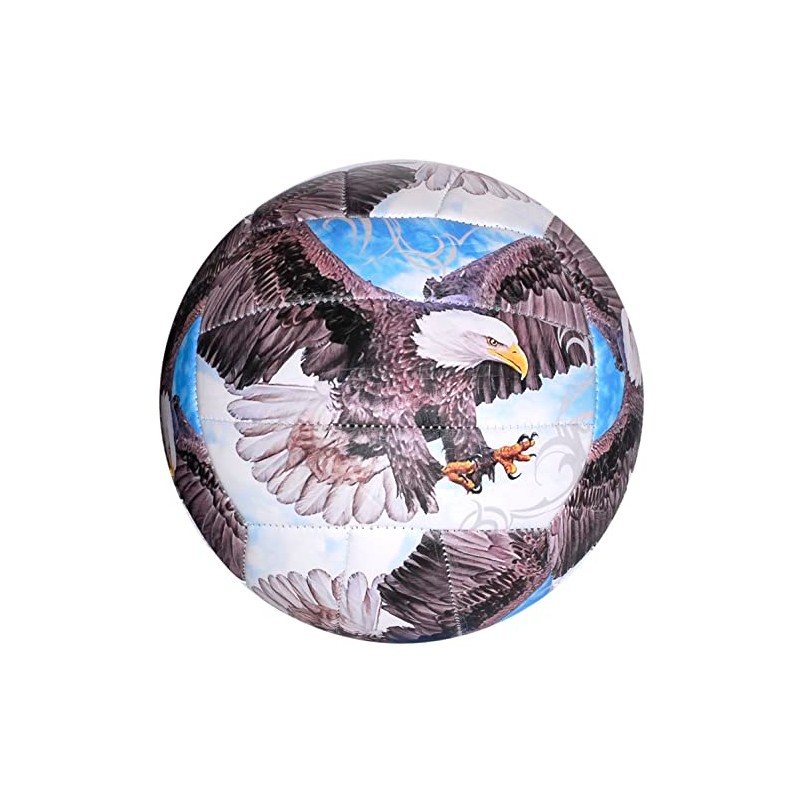 CUCUBA Volleyball Beach Training Toy Size 5 Eagle