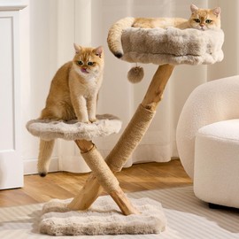 HITTITE Natural Solid Wood Cat Tree Tower with Scratching Post, 32 Inches Tall Modern Cat Tower with Cozy Bed and Platforms, Luxury Real Branch Cat Tree for Indoor Cats Large Adult, Khaki.
