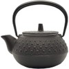 Iwachu 12803 Teapot for Tetsubin, 3 Type, New Turtle Shell