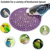 Lyfengdeam Bird Slow Feeder Mat, Interactive Foraging Puzzle Toy for