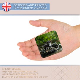 Destination Vinyl ltd Fridge Magnet - Cute Baby Chihuahua Dog Puppy for Office, Cabinet and Whiteboard, Magnetic Stickers, 44753