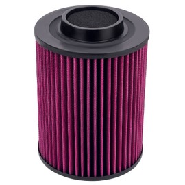 Road Passion 1240482 1240434 GI-125499 Air Filter Replacement For Polaris ATV RZR 800 EFI 2008-2013/ ATV RZR 800 EPS 2014/ ATV RZR S 2012/ ATV RZR S 800 2014