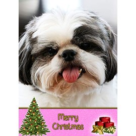 Shih Tzu Dog Christmas Card 'Merry Christmas' - Special Animal Xmas Card for Him Her from Pets Kids