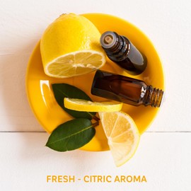 Zermat For Men, Wild Intense Fragrance Body Spray, 8.45 Fl. Oz.