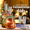 Fermentation Lids | 4-Pack | Multi-Colored | Year of Plenty