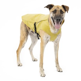 Kurgo Halifax Rain Shell, Dog Raincoat, Waterproof Rain Jacket for Dogs, Pet Poncho, Reflective, Leash Opening, Quick Release Buckles (Slicker Yellow, X-Small)