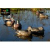 AVERY GREENHEAD GEAR GHG PRO GRADE LIFESIZE LS WOOD DUCK