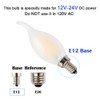 OPALRAY 12 Volts Low Voltage LED Candelabra Bulb, AC/DC 12V,
