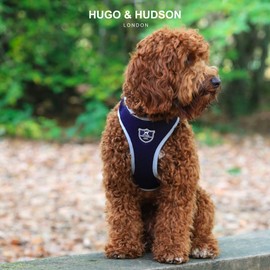 HUGO & HUDSON No Pull Dog Harness for Small, Medium and Large Dogs, Anti Pulling Front Harnesses - Soft Padded Comfortable Lightweight Mesh - Navy - L