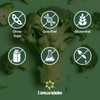 Liposomal Sulforaphane High Dose, 450 mg Daily Dose, Broccoli Capsules