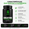 Creatina Monohidratada 500g Micronizada Sin Sabor Kaan