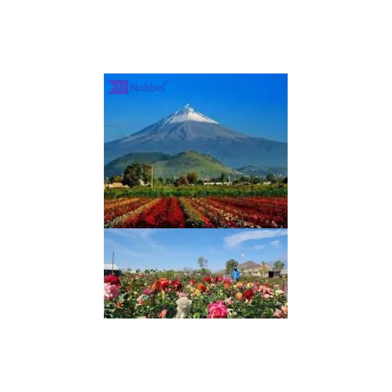 Tónico Facial Agua De Rosas De Atlixco + Vitamina C