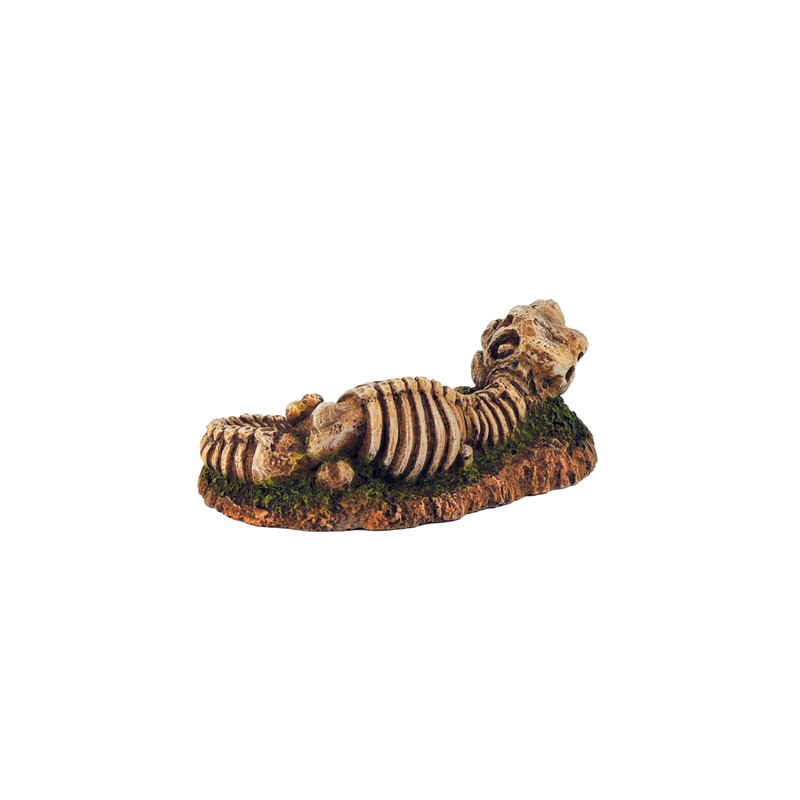 CLASSIC Dinosaur Fossil Skeleton Aquarium Ornament – Prehistoric Fish Tank