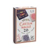 DJECO Magic Cartum Magus 20 Tricks Magic Card Game -