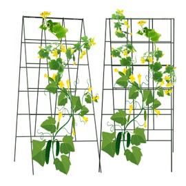 AGTEK 2 Packs 18" x 46" Foldable Cucumber Trellis with Zip Ties Plant Support A Frame Metal Trellis for Cucumber, Climbing Plants, Vegetable Flowers