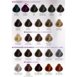 Kuul Tinte Kuul Hair Dye 1V Negro Violeta (Violet Black)