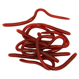 Earthworms Fidget Toys, Pack of 10 Worm Game, Realistic Toy Figures Made of Soft TPR Material for Children, Stress Relief, Red, 18 cm, Rubbery, Ideal as Sensory Toy for School, Office or Travel