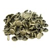 Springfield Leather Company Rivets, Antique Brass, Double Cap Rivets, Medium