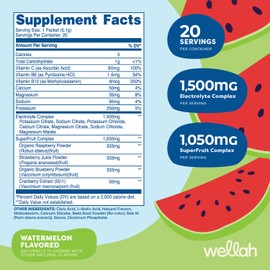 Wellah Splish Splash Hydration (Watermelon Flavor) 20 Stick Packs - Electrolyte Drink Mix with Superfruit Complex