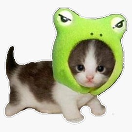 Leyland Designs Baby Cat with Frog Hat Sticker Outdoor Rated Vinyl Sticker Decal for Windows, Bumpers, Laptops or Crafts 5"