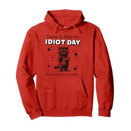 Today is an idiot day funny raccoon gift Pullover Hoodie
